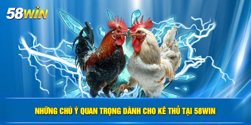 nhung chu y quan trong danh cho ke thu tai 58win