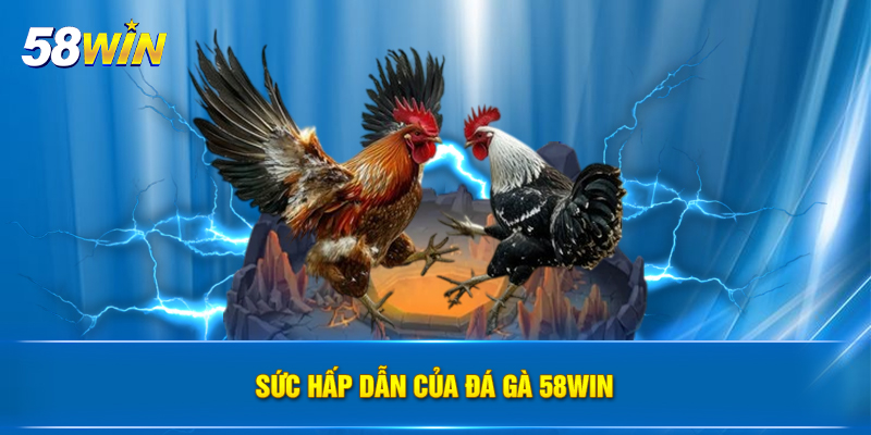 suc hap dan cua da ga 58win